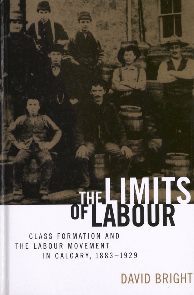 David Bright - Limits of Labour, Inbunden. Tillgänglighet: Tillfälligt slut