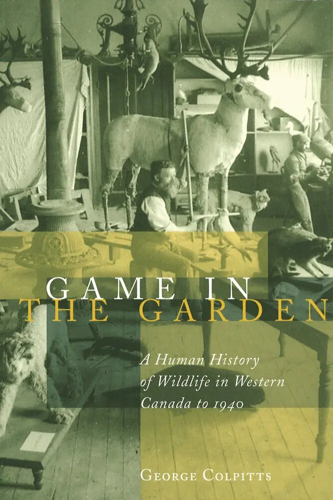 George Colpitts - Game in the Garden, Häftad. Tillgänglighet: Tillfälligt slut