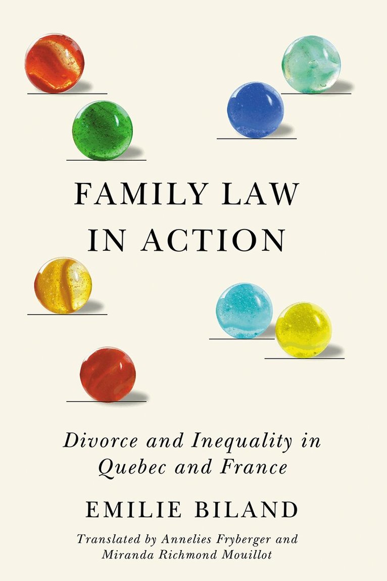 Emilie Biland - Family Law in Action, Häftad