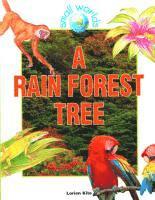 Rain Forest Tree