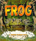 Life Cycle of the Frog