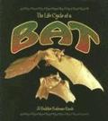 Life Cycle of the Bat