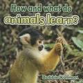 How and What Do Animals Learn