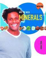 James Bow - Why We Need Minerals, Häftad