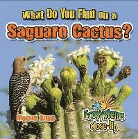 Megan Kopp - What Do You Find on a Saguaro Cactus?, Inbunden