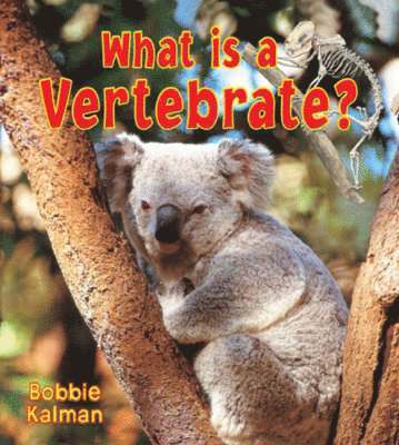 Bobbie Kalman - What is a Vertebrate?, Övrigt