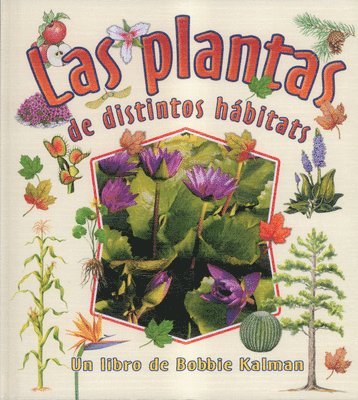Bobbie Kalman, Rebecca Sjonger - Las Plantas de Distintos Habitats, Inbunden
