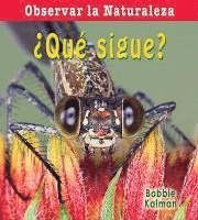 ¿Qué Sigue? (What Comes Next?)