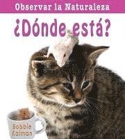 ¿Dónde Está? (Where Is It?)