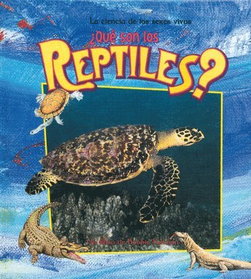 Que son los Reptiles?