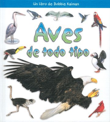 Rebecca Sjonger, Bobbie Kalman - Aves de Todo Tipo (Birds of All Kinds), Inbunden