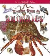 Molly Aloian - Muchos Tipos de Animales (Many Kinds of Animals), Häftad