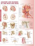 Anatomy & Injuries Of The Head & Neck