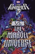 Punisher Vs. The Marvel Universe