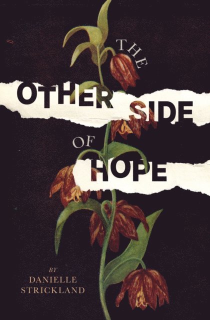 Danielle Strickland - Other Side of Hope, E-bok