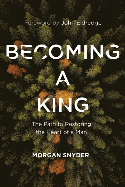 Morgan Snyder - Becoming a King, E-bok