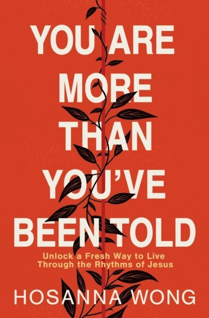 Hosanna Wong - You Are More Than You've Been Told, E-bok