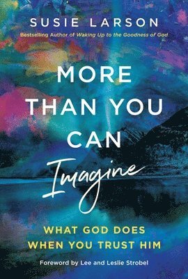 Susie Larson - More Than You Can Imagine, E-bok