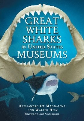 Alessandro De Maddalena, Walter Heim - Great White Sharks in United States Museums, Häftad. Tillgänglighet: Lägg i varukorg