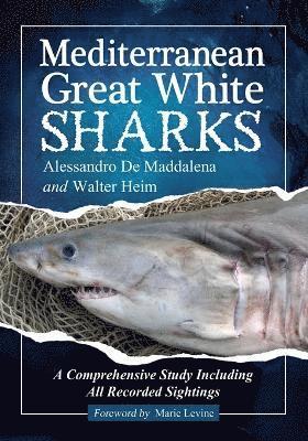 Mediterranean Great White Sharks