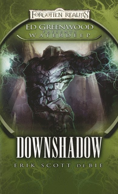 Erik Scott De Bie - Downshadow, E-bok