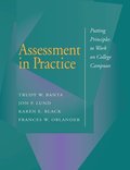 Assessment in Practice