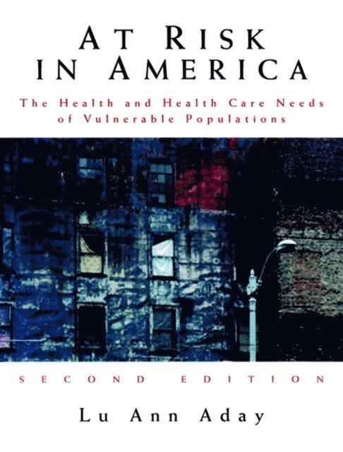 Lu Ann Aday - At Risk in America, E-bok