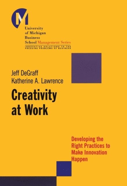 Katherine A. Lawrence, Jeff DeGraff - Creativity at Work, E-bok