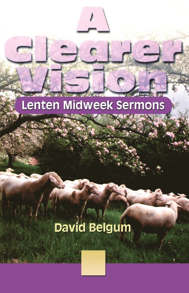 David Belgum - Clearer Vision, Häftad. Tillgänglighet: Lägg i varukorg