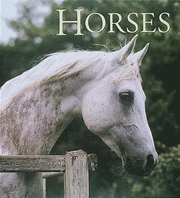 John Downs - Horses, Inbunden. Tillgänglighet: Tillfälligt slut