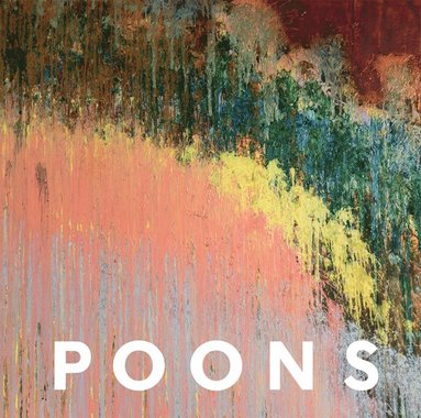 Larry Poons av David Anfam, David Ebony, Barbara Rose, Karen Wilkin