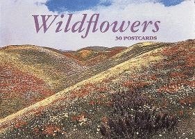 Abbeville Gifts - Wildflowers Postcard Book, Häftad