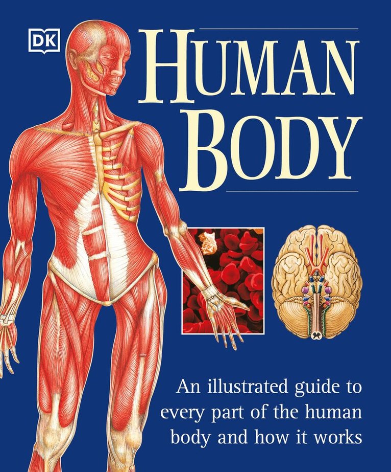 Martyn Page - Human Body, Häftad. Tillgänglighet: Lägg i varukorg