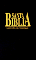 Biblia de Promesas Bolsillo Negra: Promise Pocket Bible Black