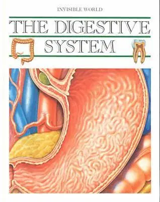 Merce Parramon - Digestive System, Inbunden. Tillgänglighet: Tillfälligt slut