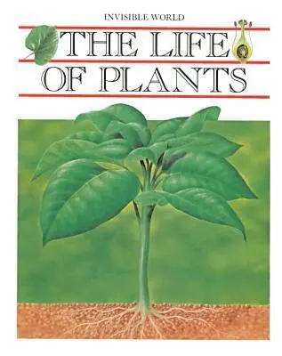 Angels Julivert - Life of Plants, Inbunden. Tillgänglighet: Tillfälligt slut