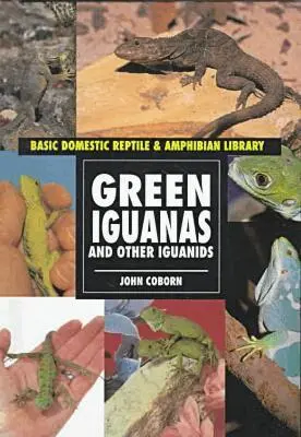 John Coburn - Green Iguanas and Other Iguanids, Inbunden. Tillgänglighet: Tillfälligt slut