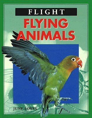 June Loves - Flying Animals, Inbunden. Tillgänglighet: Tillfälligt slut
