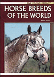 Brent Kelley - Horse Breeds of the World, Inbunden. Tillgänglighet: Tillfälligt slut