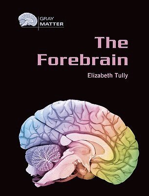 Elizabeth Tully - Forebrain, Inbunden. Tillgänglighet: Tillfälligt slut