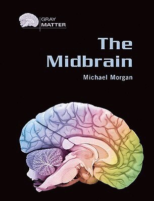 Michael Morgan - Midbrain, Inbunden. Tillgänglighet: Tillfälligt slut