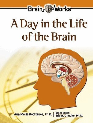 Ana Maria Rodriguez - Day in the Life of the Brain, Inbunden. Tillgänglighet: Tillfälligt slut