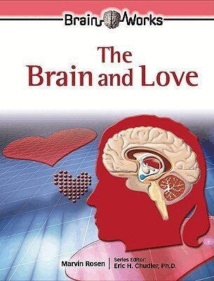 Marvin Rosen, Eric H. Chudler - Brain and Love, Inbunden. Tillgänglighet: Tillfälligt slut