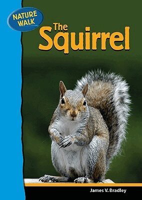 James Bradley - Squirrel, Inbunden. Tillgänglighet: Tillfälligt slut