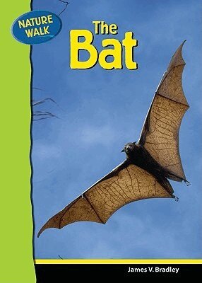 James Bradley - Bat, Inbunden. Tillgänglighet: Tillfälligt slut