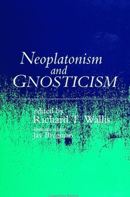 Neoplatonism and Gnosticism av Rich T Wallis, Jay Bregman