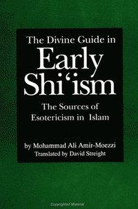 The Divine Guide in Early Shi'ism