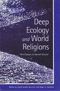 Deep Ecology and World Religions