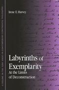 Labyrinths of Exemplarity
