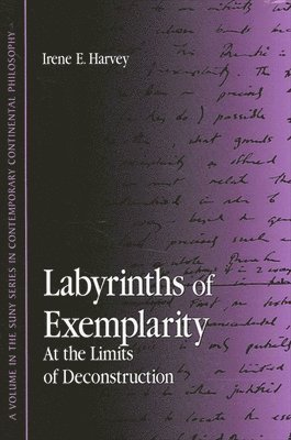 Irene E. Harvey - Labyrinths of Exemplarity, Häftad